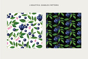 Delicious blueberries. Vector set., a Graphic by natamastery (Thumbnail 3 of 7)