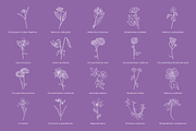 Flower icons, an Icon by Hamocreate (Thumbnail 3 of 11)
