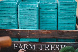 Farm to table gathering featuring farm fresh, baskets, and farm