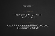 Hermannstadt Font Family, a Sans Serif Font by Graphicdome (Thumbnail 8 of 8)