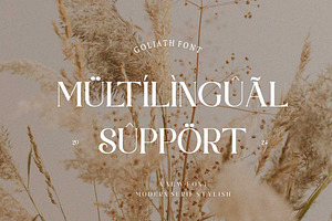 Goliath Typeface