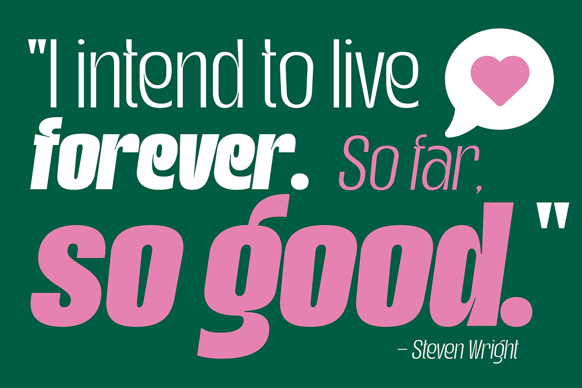 Gotkin Variable Sans Serif, a Sans Serif Font by Megatype (Photo 8 of 15)