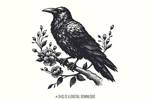 Crow Clipart PNG, Gothic Art, an Illustration by SharpMarketplace