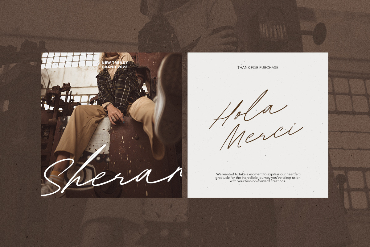 Diana William - Elegant Signature, a Script Font by Bale Type (Photo 3 of 10)