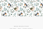 Robin Bird Seamless Pattern, an Illustration by Pati Charm Studio (Thumbnail 3 of 7)