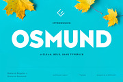 The Versatile Font Bundle, a Sans Serif Font by AlienValley (Thumbnail 64 of 141)