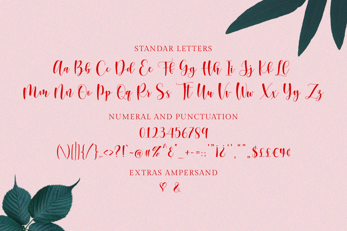 Sunberry | Beautiful Script, a Script Font by Ef Studio (Photo 11 of 12)