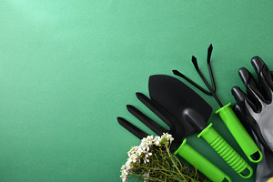 Garden Tools, Gloves and Flowers Flat Lay, a Nature Photo by Davizro's Market
