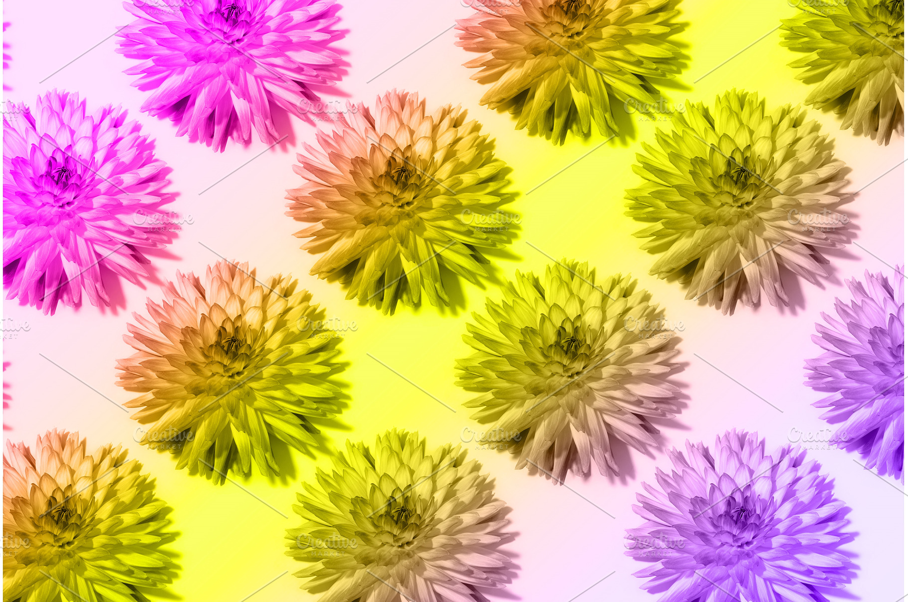 Floral pattern. Top view. Floral, a Nature Photo by Enjoy Photo