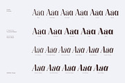 Kage Pro - Neoclassical Display Font, a Serif Font by Balibilly Design (Thumbnail 11 of 17)
