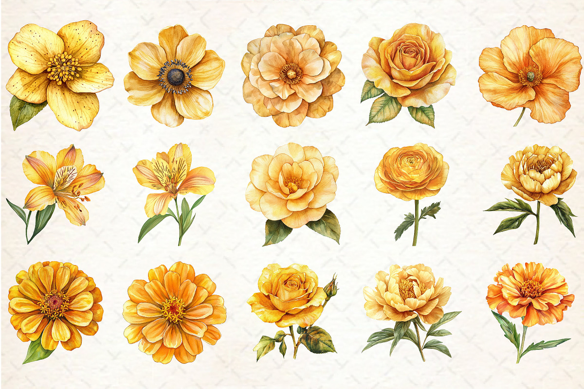 Watercolor Golden Flowers Clipart, an Illustration by Rose Art (Photo 3 of 7)