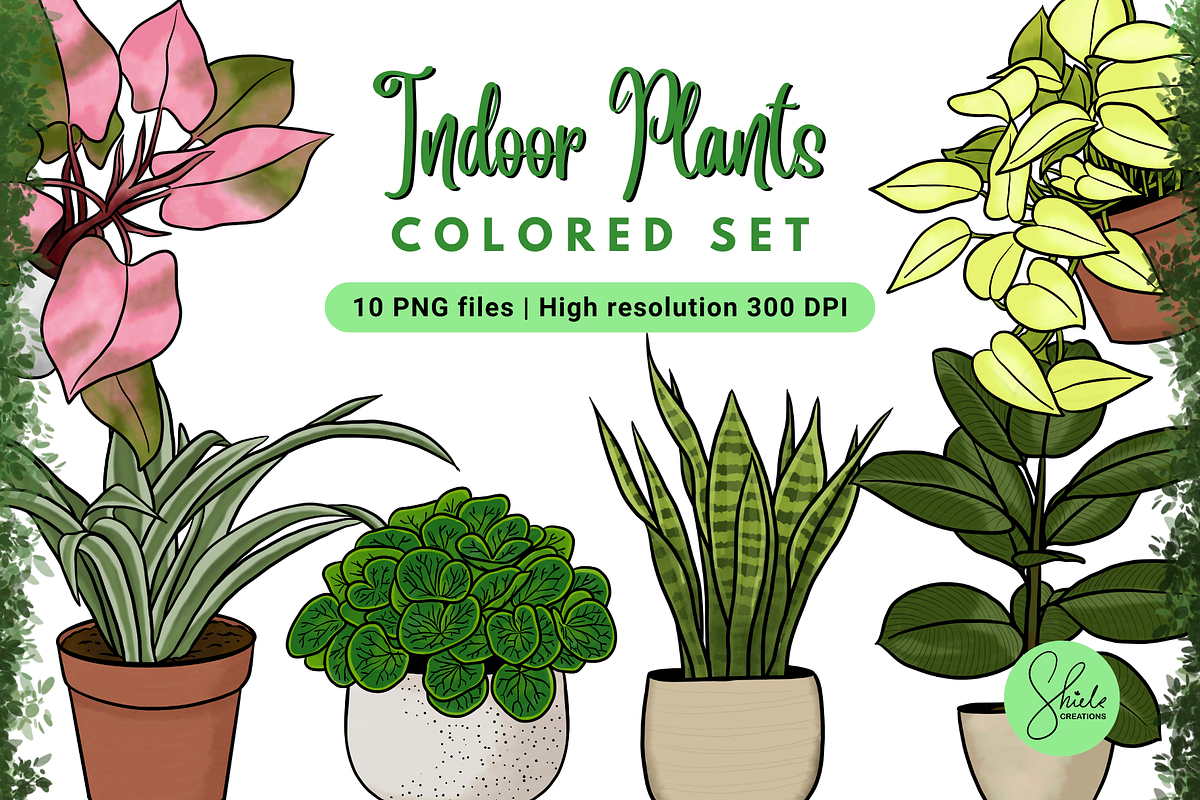 Indoor Plants Cliparts - Colored Set, an Object Illustration by shielscreations (Photo 1 of 3)