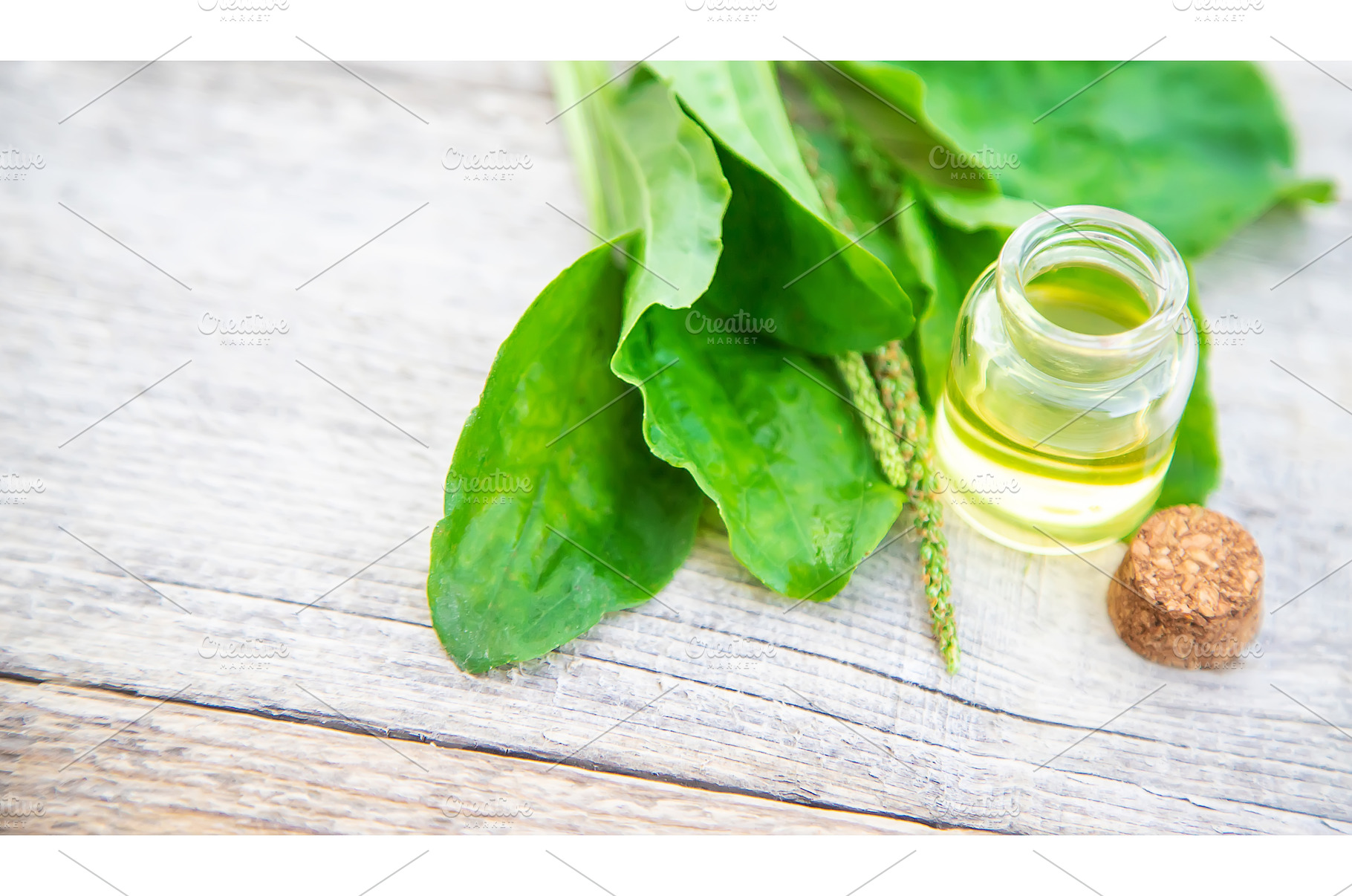 Plantain extract in a small bottle, a Nature Photo by yanadjana