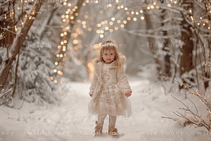 Winter Lights Digital Backdrop