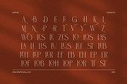 Wolles Elegant Modern Serif Font, a Serif Font by Elegant Font (Thumbnail 8 of 8)