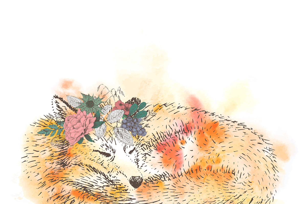 sleeping Fox, an Illustration by Danya