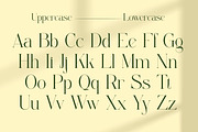 The Larove - Modern Elegant Serif, a Serif Font by Muflieart (Thumbnail 3 of 10)