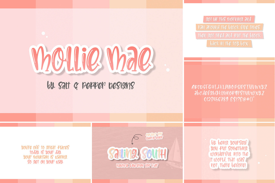 The HUGE Font Bundle (98% OFF) SALE, a Sans Serif Font by Salt & Pepper Designs (Photo 115 of 185)