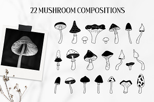 Celestial Mushrooms Collection