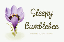 Sleepy Bumblebee