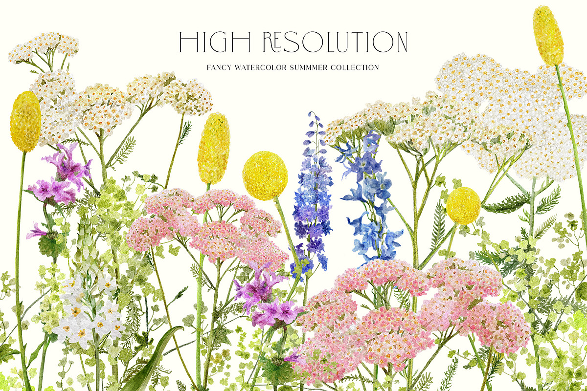 JUNE Watercolor Summer Collection, a Decorative Illustration by Kaleriia (Photo 5 of 15)