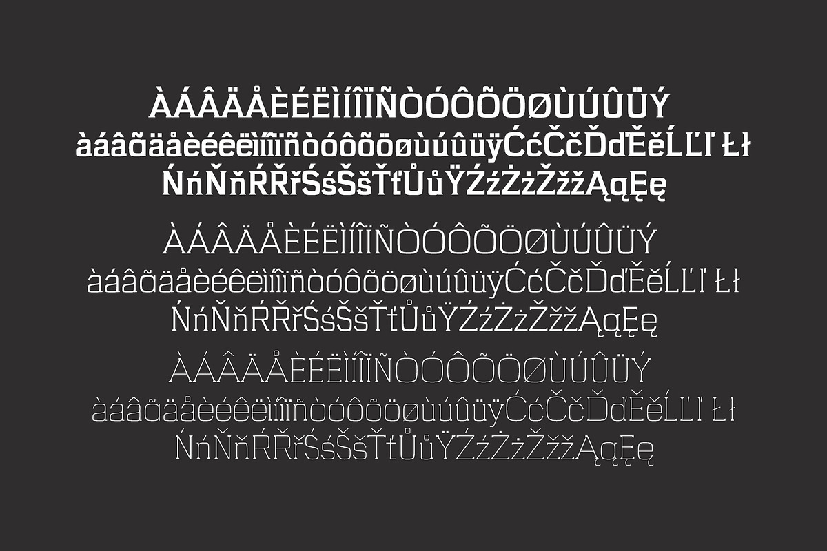 Brydon Serif Font Family Pack preview 3