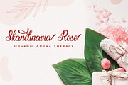 Seindah Cinttya - Casual Script Font, a Script Font by StringLabs (Thumbnail 7 of 12)