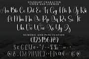 Winter Juice, a Handwritten Font by FreshTypeINK (Thumbnail 8 of 8)
