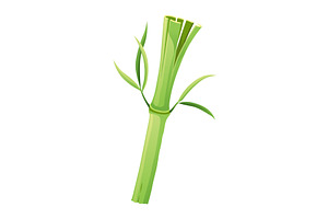 Bamboo green stalk, icon. Stem, an Object Illustration by Things for designers