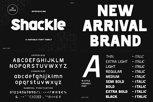 Font Bundle - Display Collection