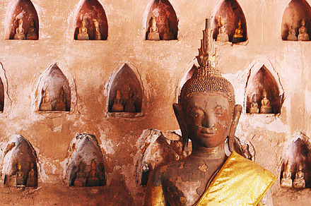 in the land of the buddhas