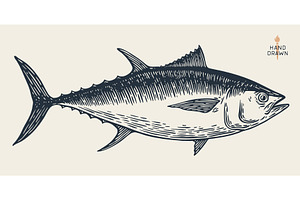 Tuna Fish, seafood, sketch, an Animal Illustration by Foxys Graphic