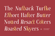 Sofiatweet - Modern Serif Duo Style, a Serif Font by Typia Nesia (Thumbnail 7 of 13)