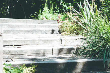 A walk in a botanical garden containing andesite, backgrounds, and blossom