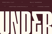 Ermago Display - Modern Extrude Logo, a Sans Serif Font by Nirmana Visual (Thumbnail 10 of 14)
