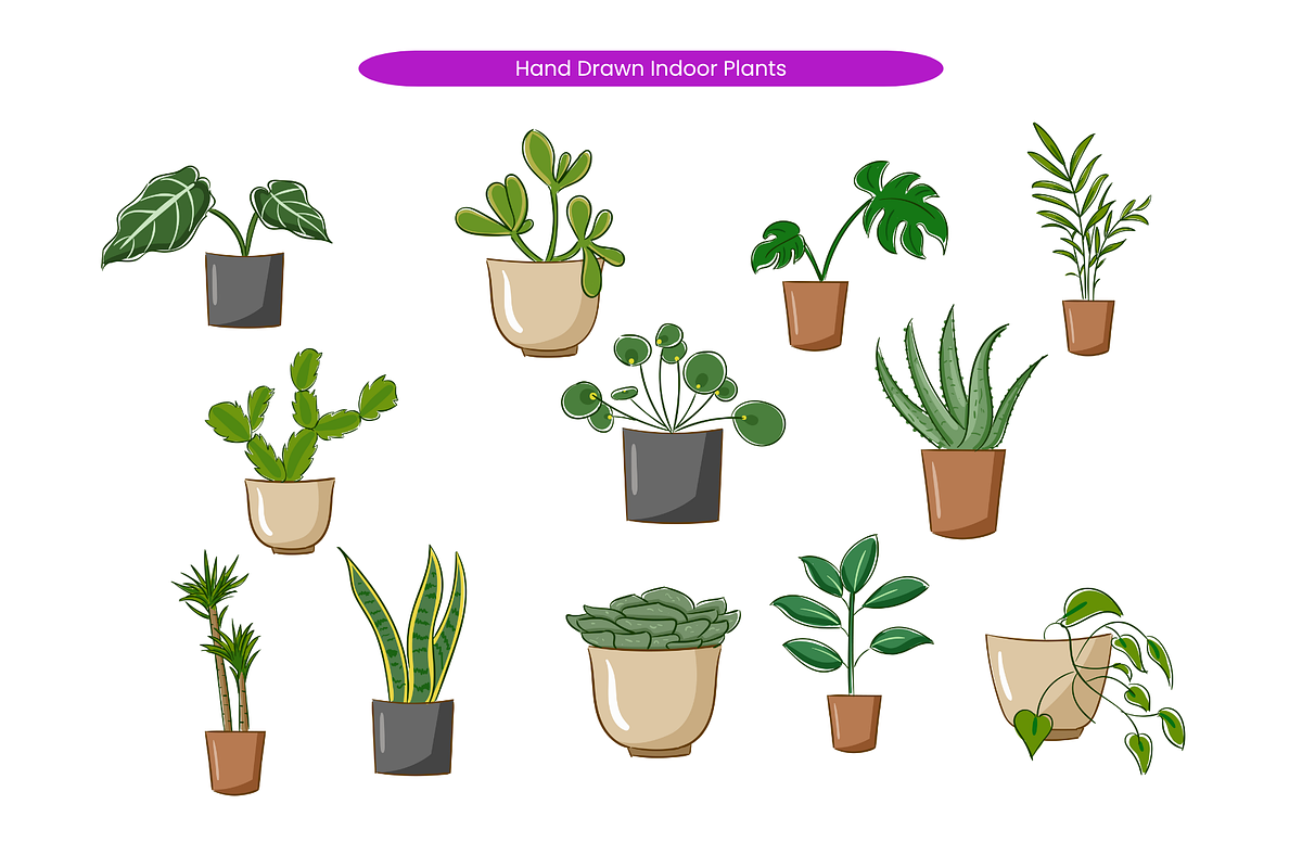 Hand Drawn Indoor Plants, a Decorative Illustration by Creathub Studio (Photo 1 of 3)