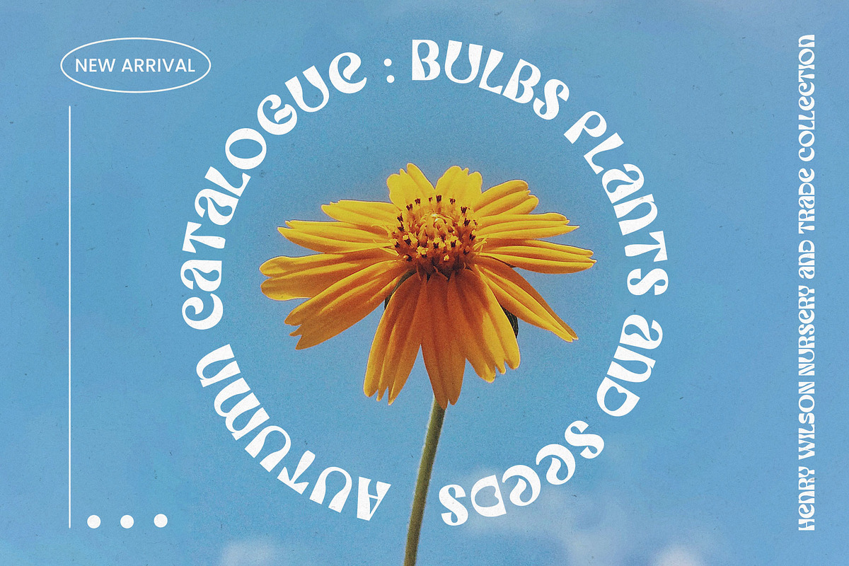 Sunwish Maverick - Experimental, a Sans Serif Font by Arterfak Project (Photo 5 of 11)