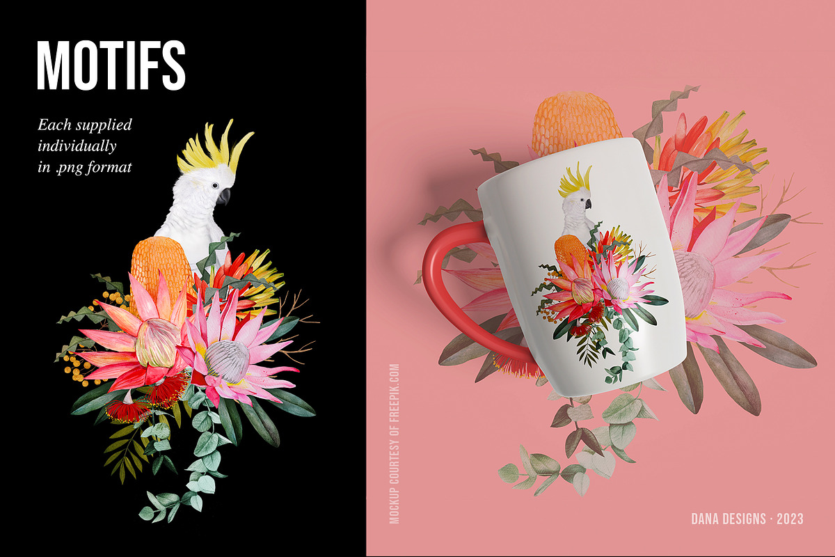 AUSTRALIA FAIR Elements, a Decorative Illustration by Dana Designs (Photo 11 of 14)
