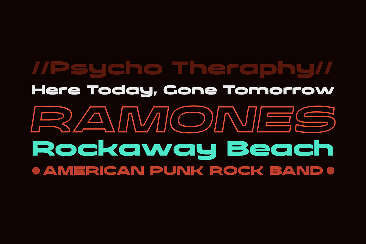 Taruno Wide Black, a Sans Serif Font by Locomotype (Photo 9 of 12)
