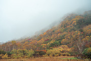Japan Alpine Autumn & Winter Frost, a Nature Photo by Silent Nature (Thumbnail 3 of 6)