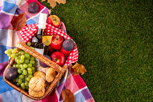 Autumn Thanksgiving holiday picnic basket on g, a Food & Drink Photo by Rimma