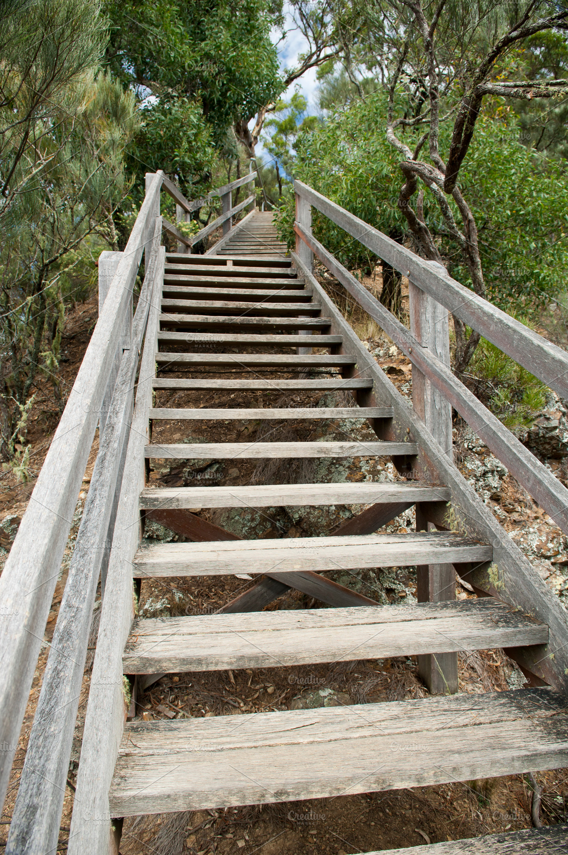 Wooden Stairs, a Nature Photo by THP Creative