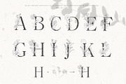 Botanical Alphabet & Monograms., a Decorative Illustration by Designwork (Thumbnail 2 of 18)