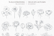 Delicate Autumn Collection, a Seasonal Illustration by GVGraphics (Thumbnail 3 of 15)