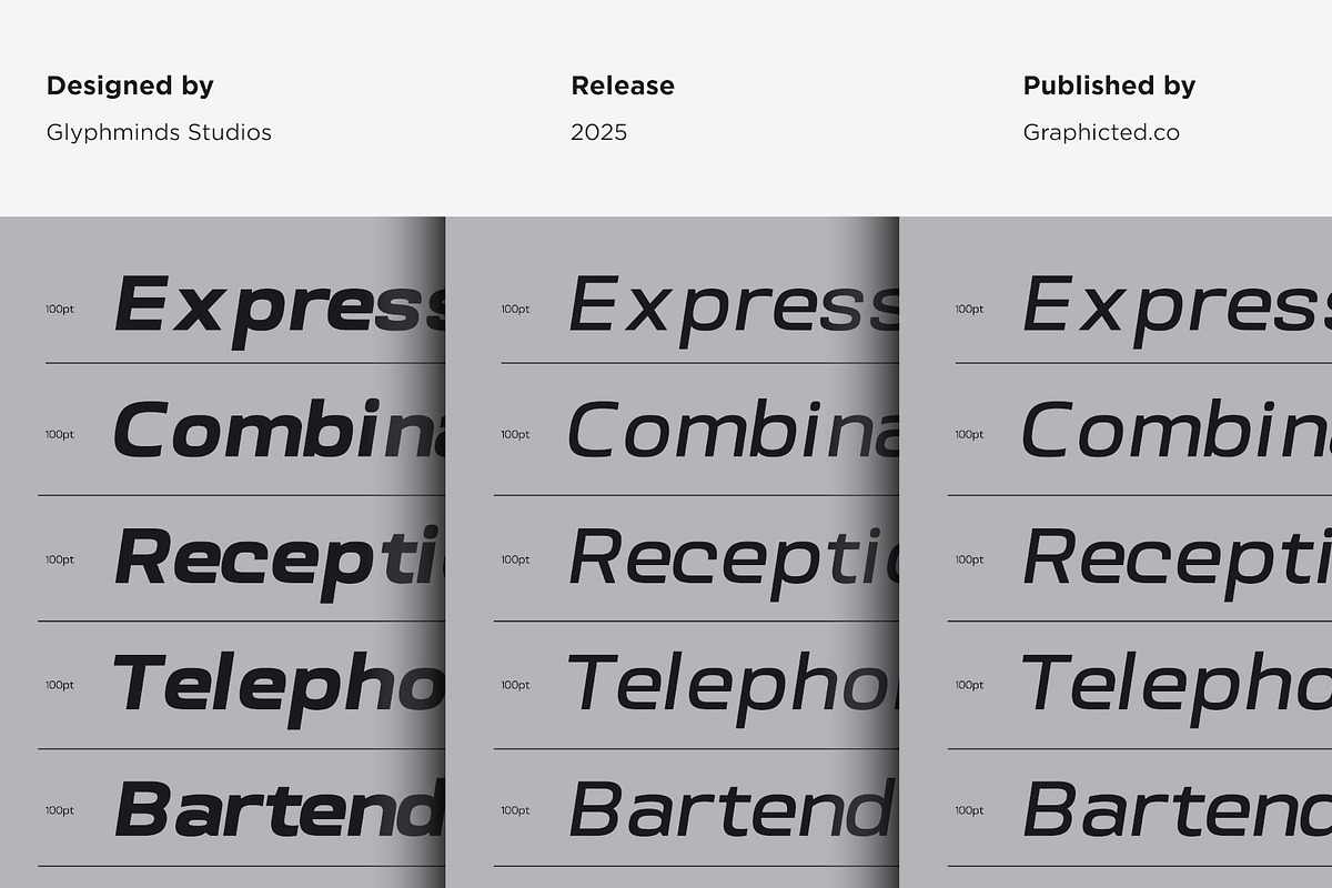 Srotone Font Italic, a Sans Serif Font by Glyphminds Studios (Photo 9 of 11)