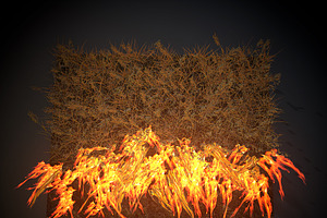 Burning Grass