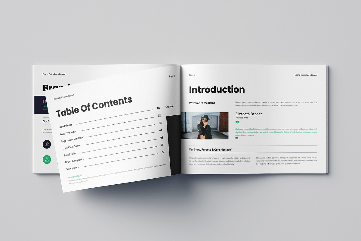 Brand Guidelines Landscape, a Brochure Template by Pixelpick (Photo 2 of 9)