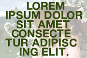 Ms Grass Bitmap Font & PNGs, a Script Font by Creative Graphics (Thumbnail 4 of 4)