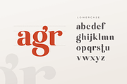 Emirates - Beautiful Curved Font, a Serif Font by Sensatype (Thumbnail 21 of 25)