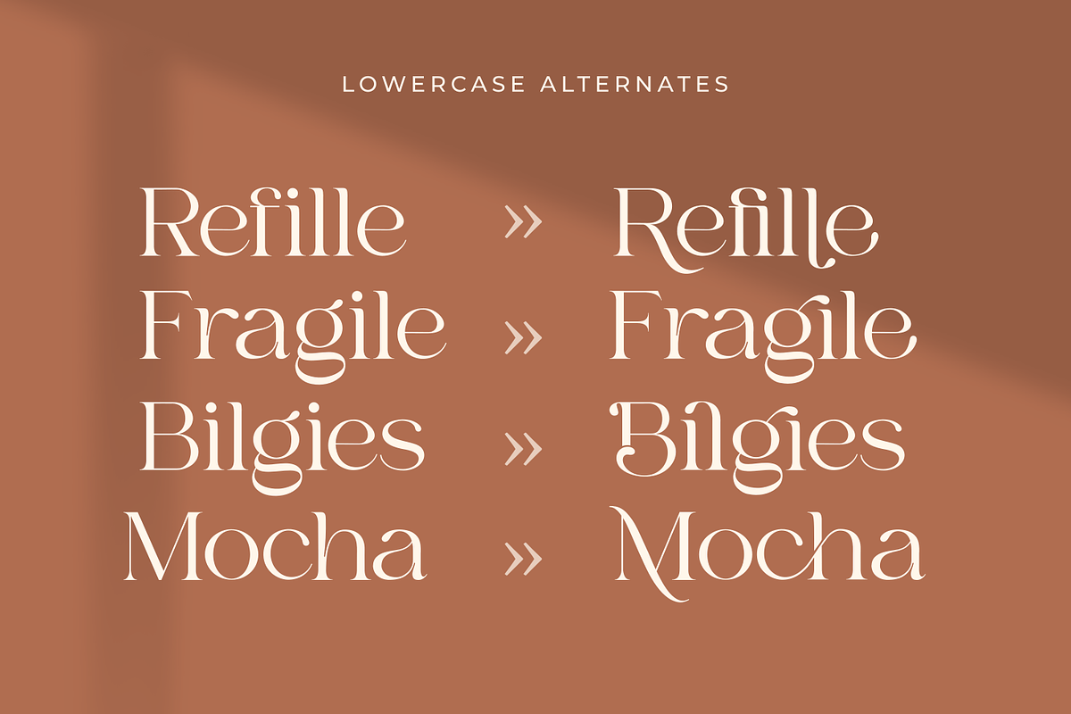Bilgie - Chique Serif Font, a Serif Font by zeenesia (Photo 14 of 19)
